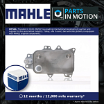 Радиатор масляного охладителя Ford Transit V347 2.4TD / 2.2 TD RWD (Под навертный фильтр)